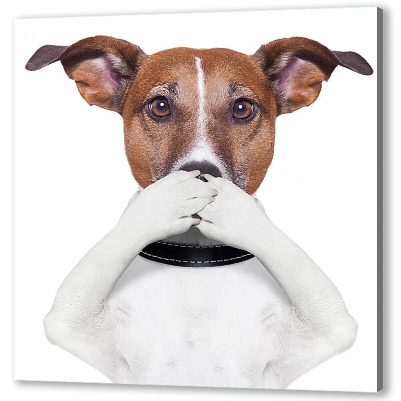 Постер (плакат) Собака закрывает рот артикул 05566