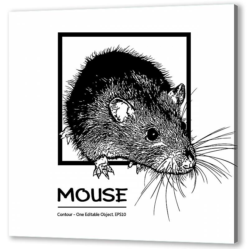 Постер (плакат) Мышка артикул 05673