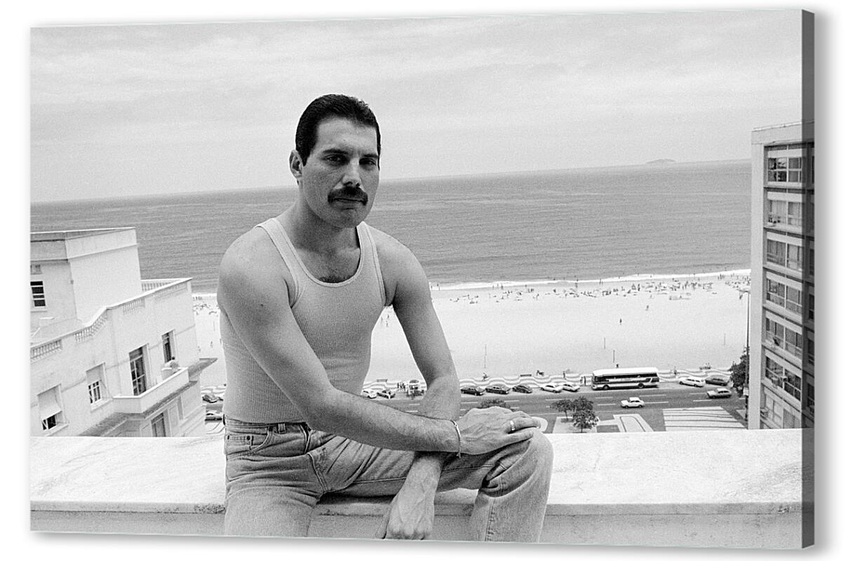 Постер (плакат) Freddie Mercury Rio de Janeiro 1985 артикул 05896