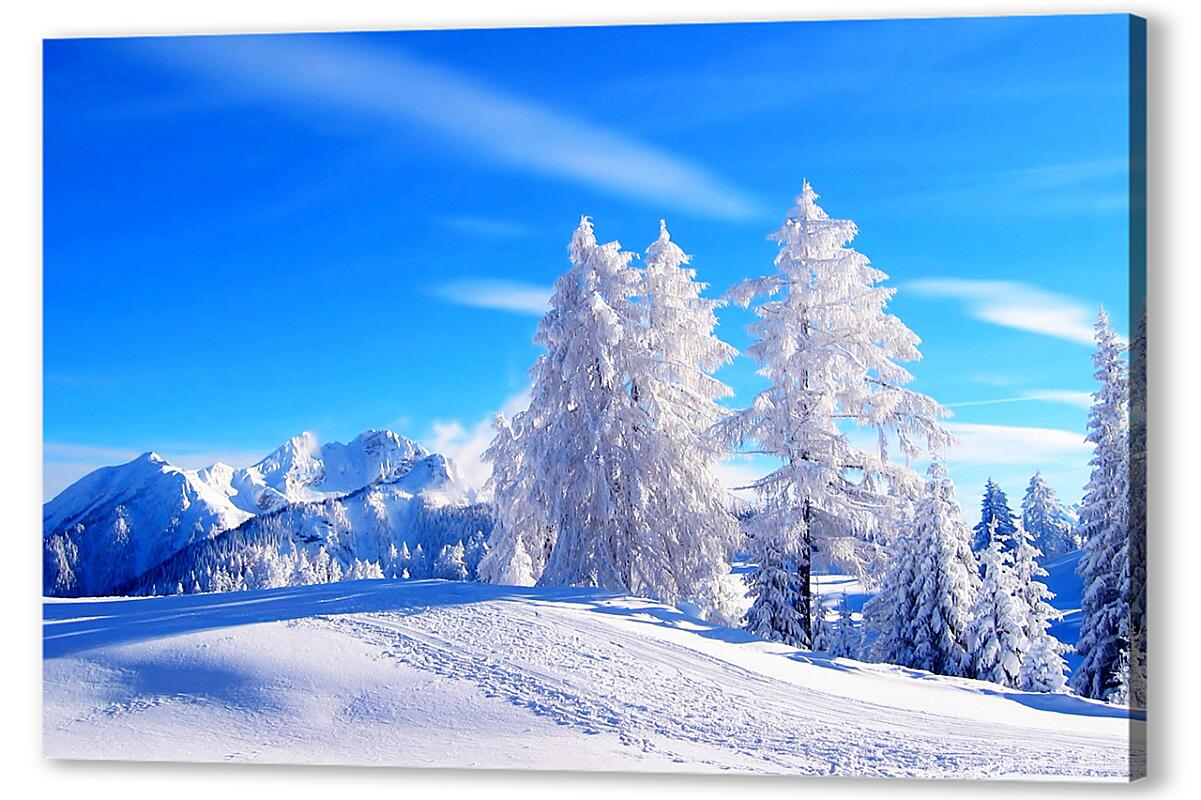 Постер Зима артикул 06233