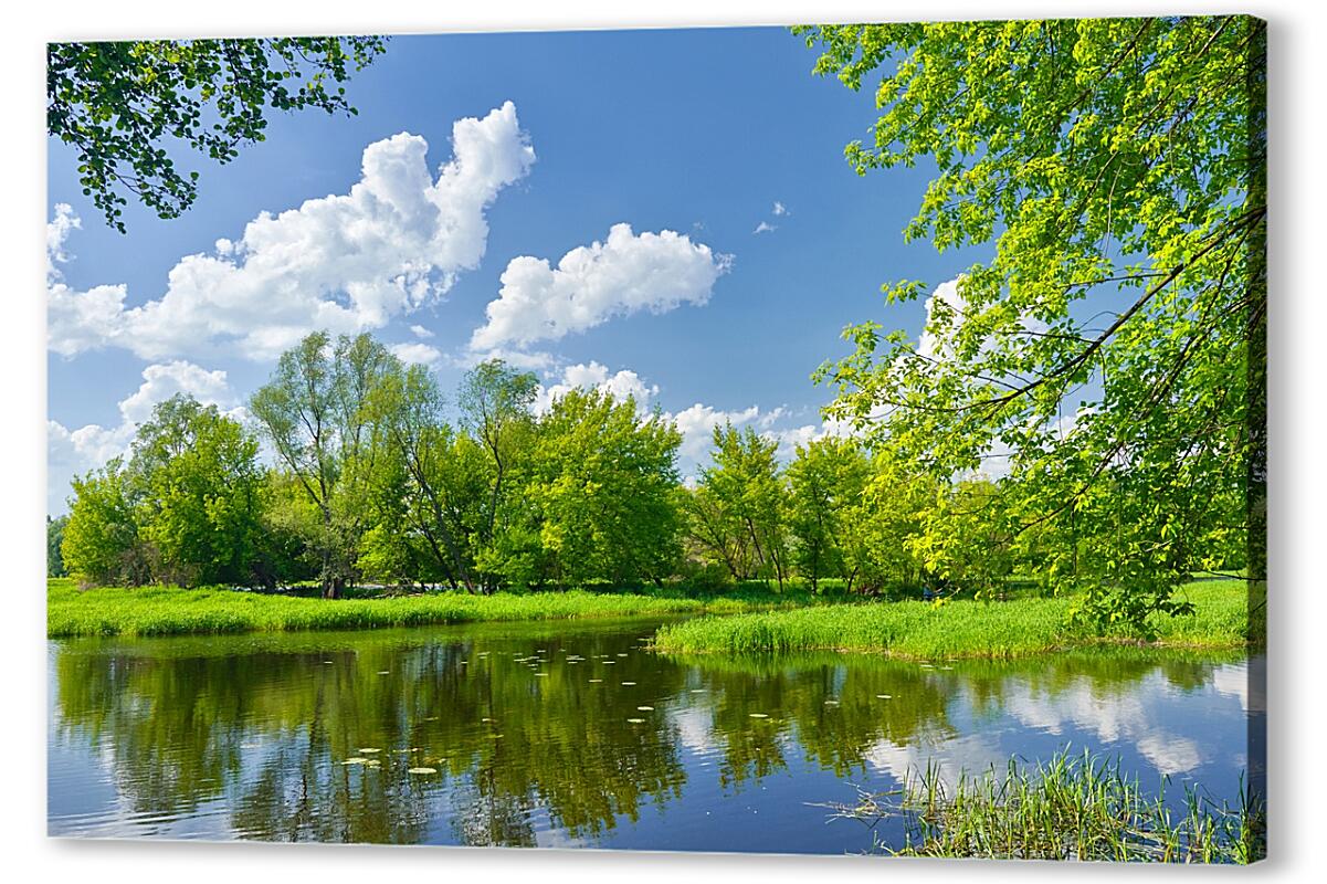 Постер Природа артикул 06253