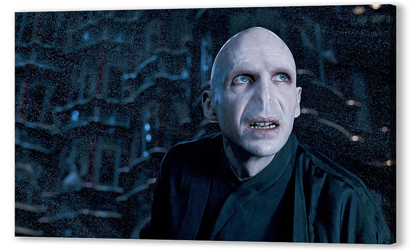 Постер (плакат) Lord Voldemort артикул 06622