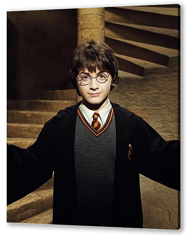 Постер (плакат) Гарри Поттер и Тайная комната артикул 06631