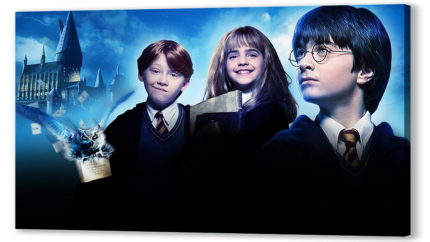 Постер (плакат) Гарри Поттер и философский камень артикул 06632