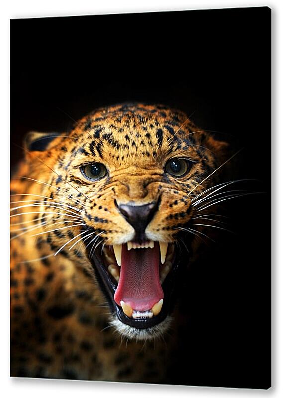 Постер (плакат) Леопард №1 артикул 07293-1