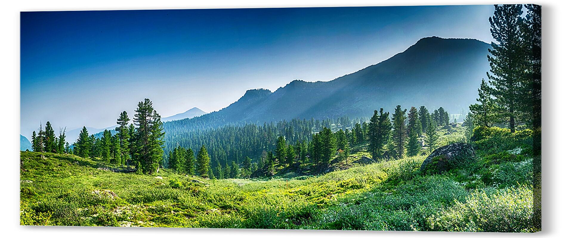 Постер Горы и лес артикул 07340