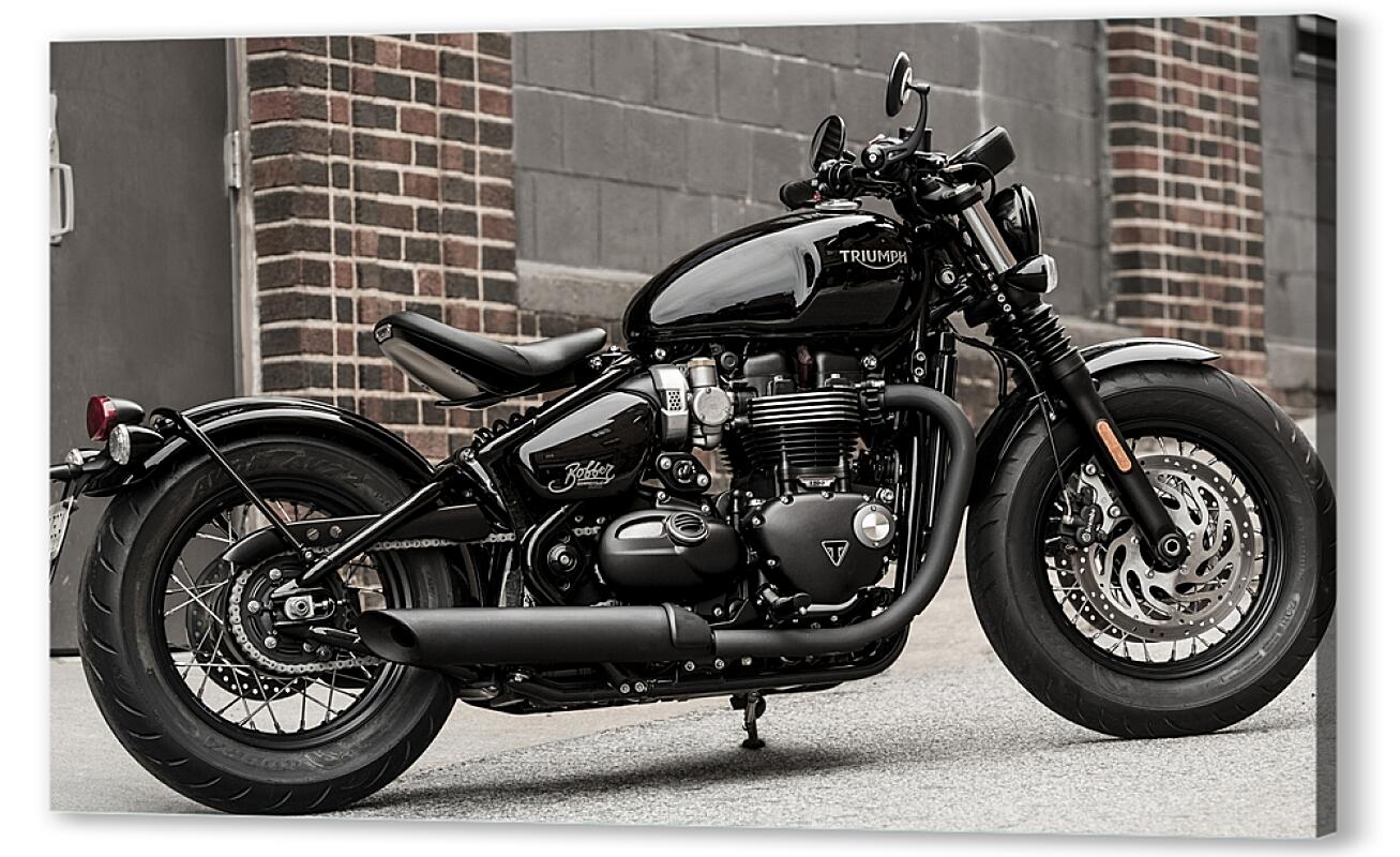 Постер Triumph артикул 07381