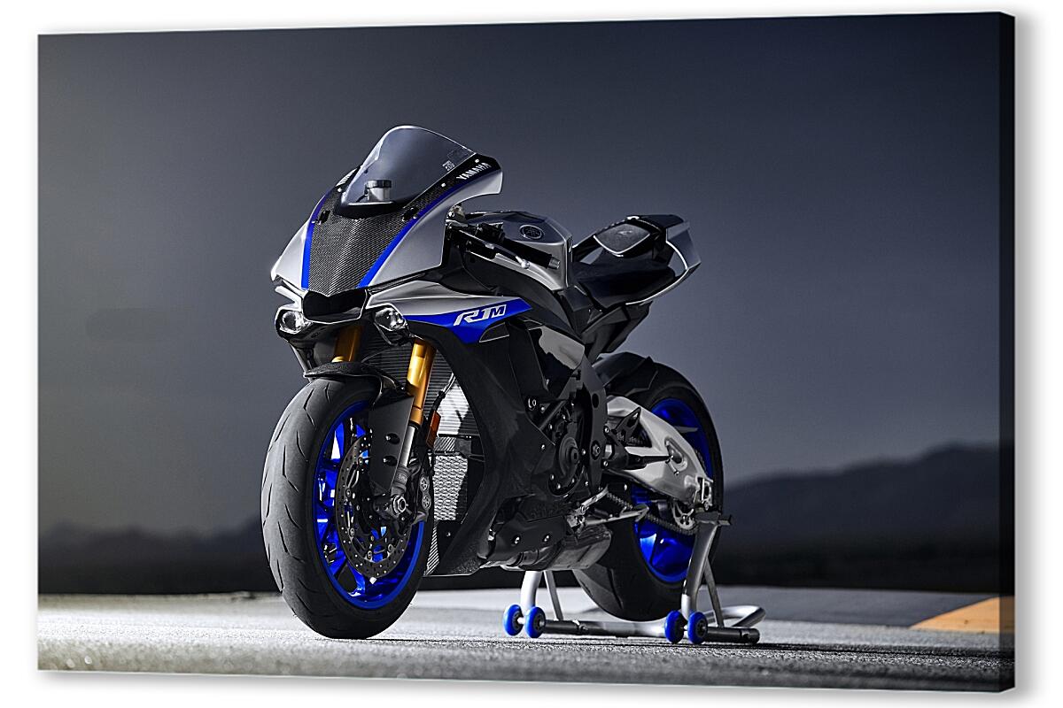 Yamaha YZF r1 С мотоциклисткой