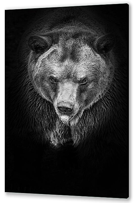 Постер (плакат) Медведь артикул 07466