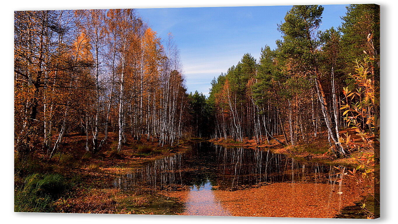 Постер (плакат) Осень артикул 14459