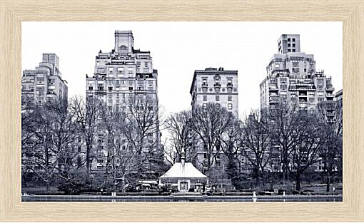 Картина - Центральный парк в черно-белом