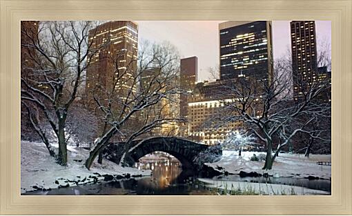 Картина - Центральный парк зимой