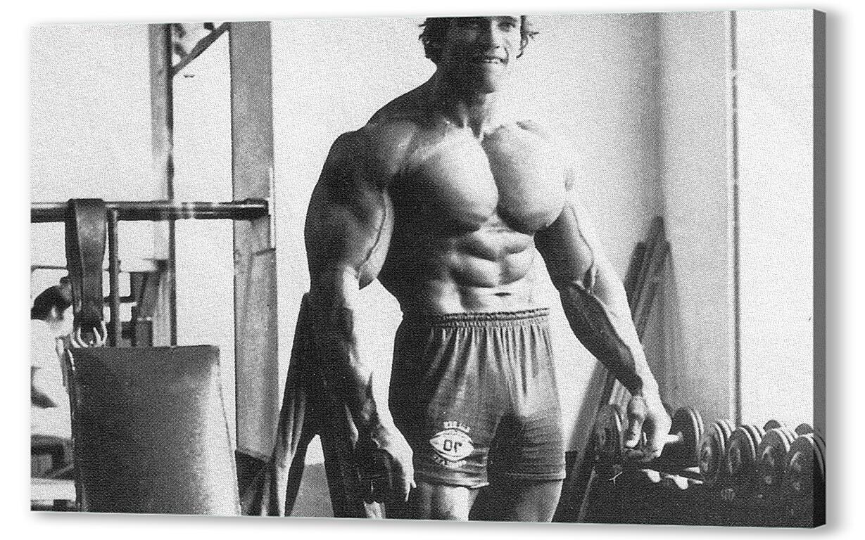 Постер Арнольд Шварценеггер (Arnold Schwarzenegger) артикул 18869