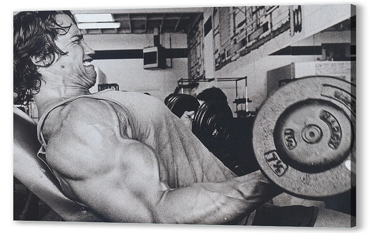 Постер (плакат) Шварценеггер Арнольд (Arnold Schwarzenegger) артикул 19054