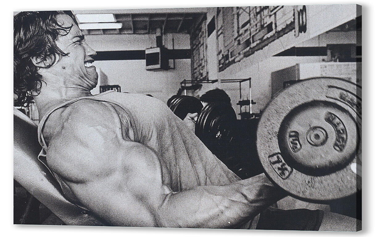 Постер Шварценеггер Арнольд (Arnold Schwarzenegger) артикул 19054