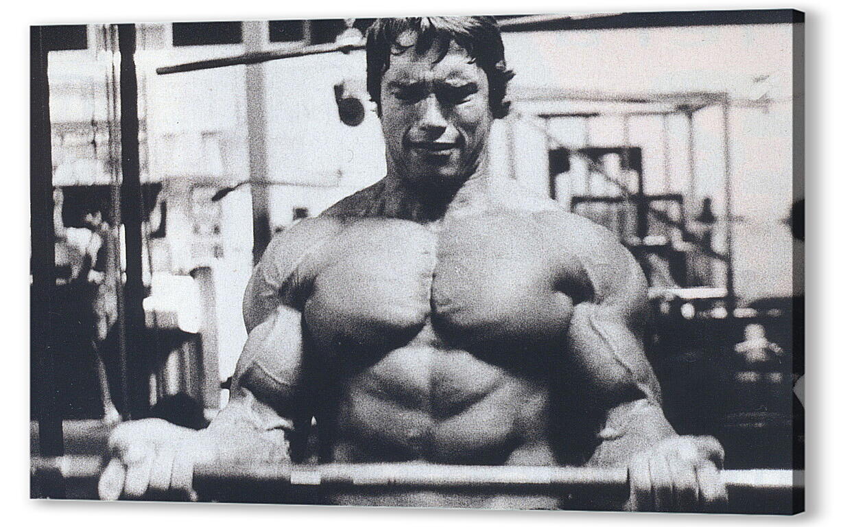 Постер (плакат) Шварценеггер Арнольд (Arnold Schwarzenegger) артикул 19201