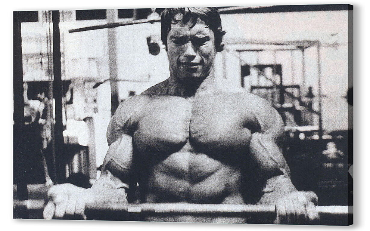 Постер Шварценеггер Арнольд (Arnold Schwarzenegger) артикул 19201