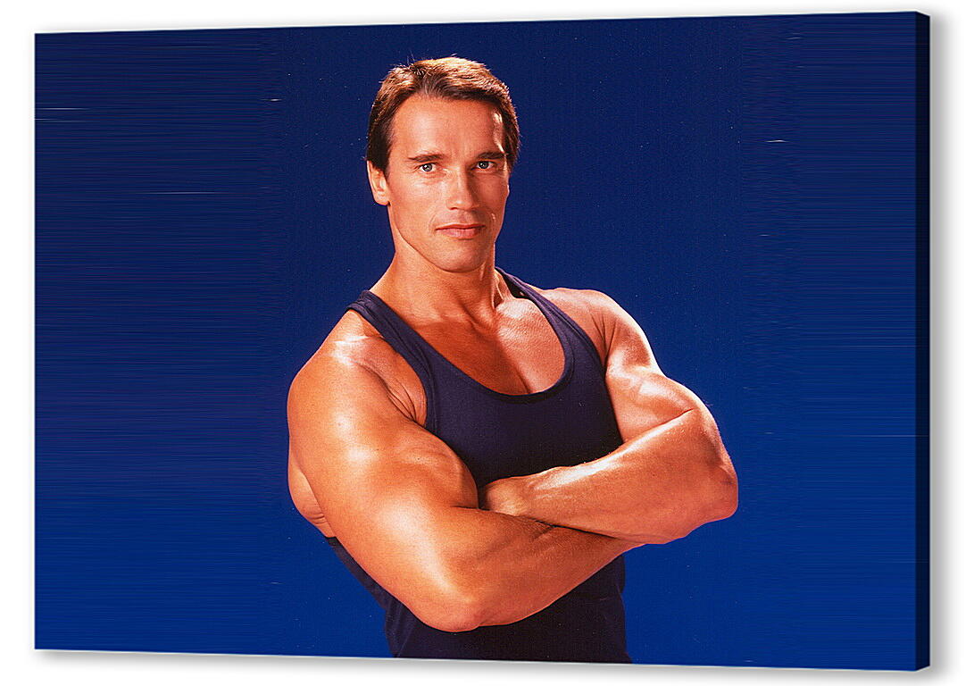 Постер (плакат) Arnold Schwarzenegger артикул 20017