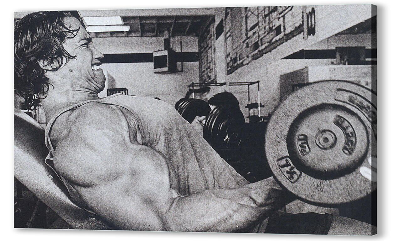 Постер (плакат) Арнольд Шварценеггер (Arnold Schwarzenegger) артикул 20019