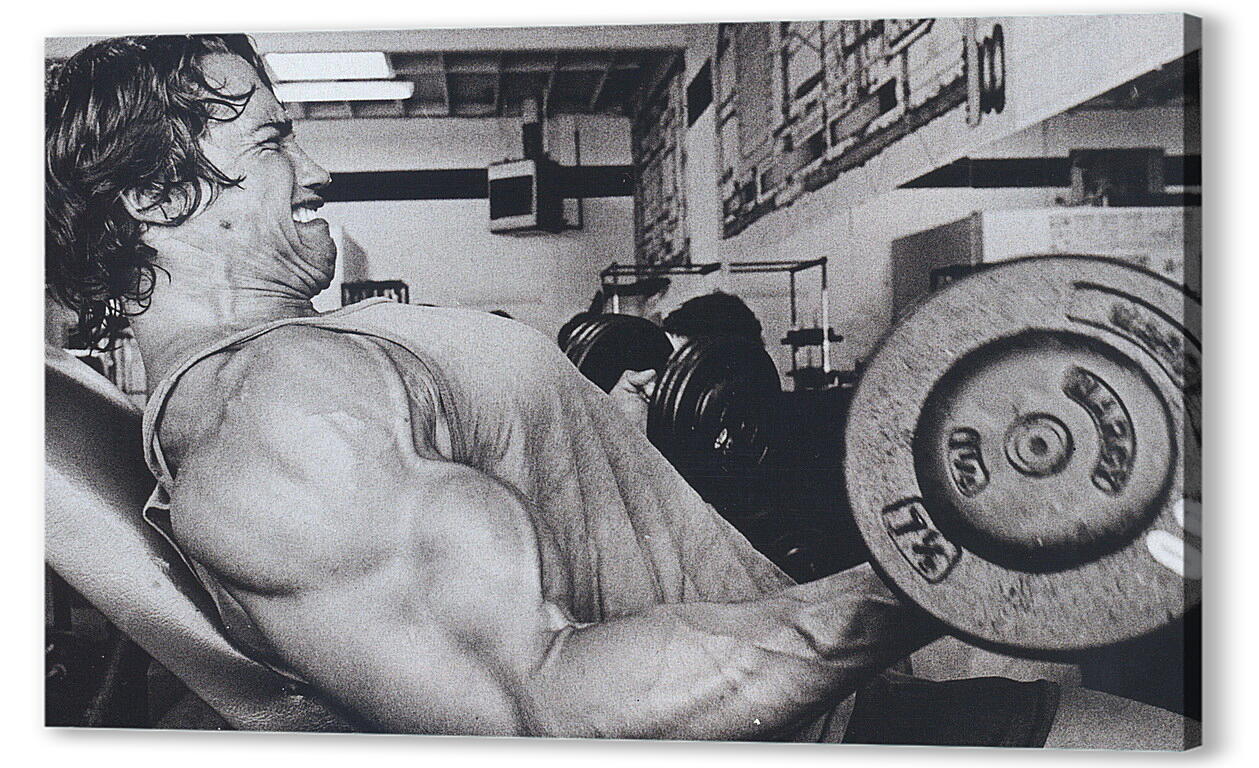 Постер Арнольд Шварценеггер (Arnold Schwarzenegger) артикул 20019