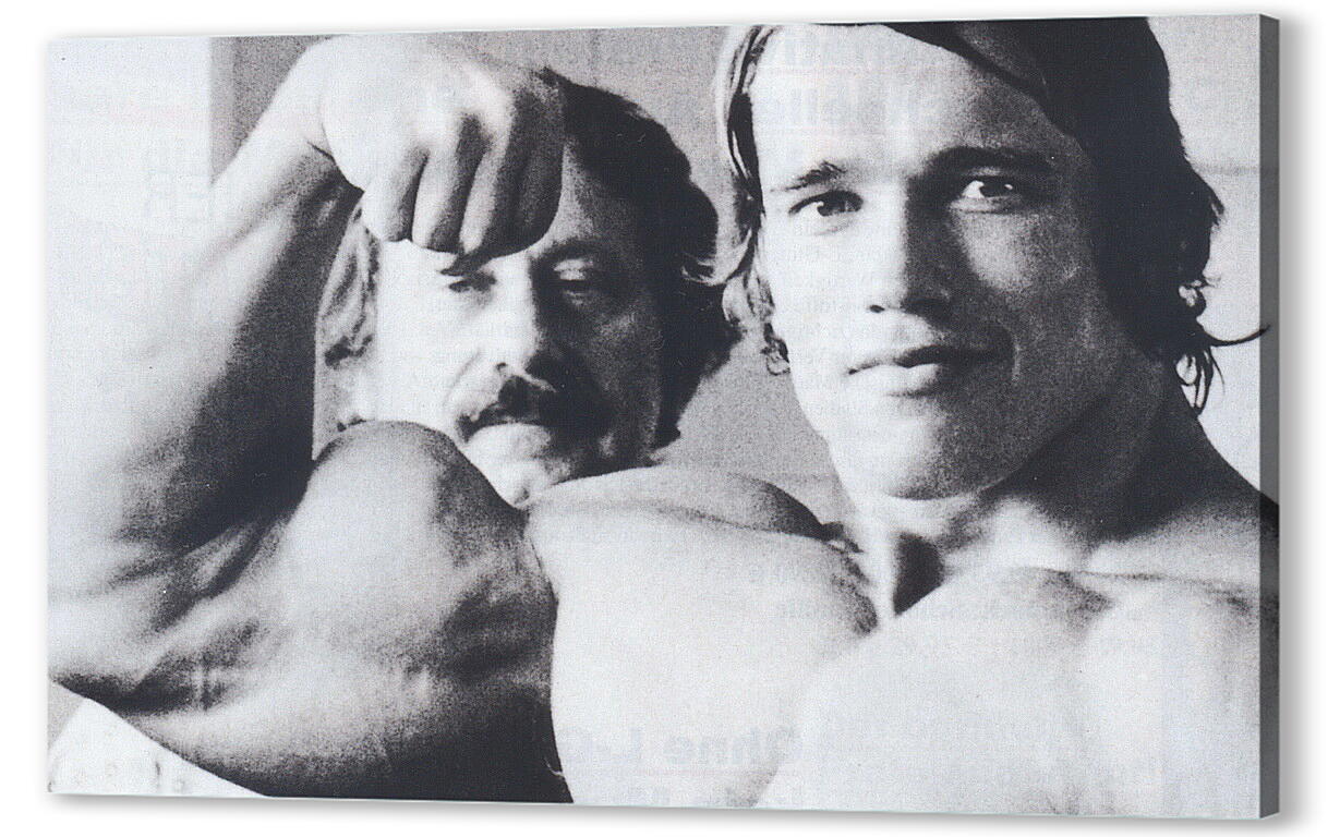 Постер (плакат) Арнольд Шварценеггер (Arnold Schwarzenegger) артикул 20020