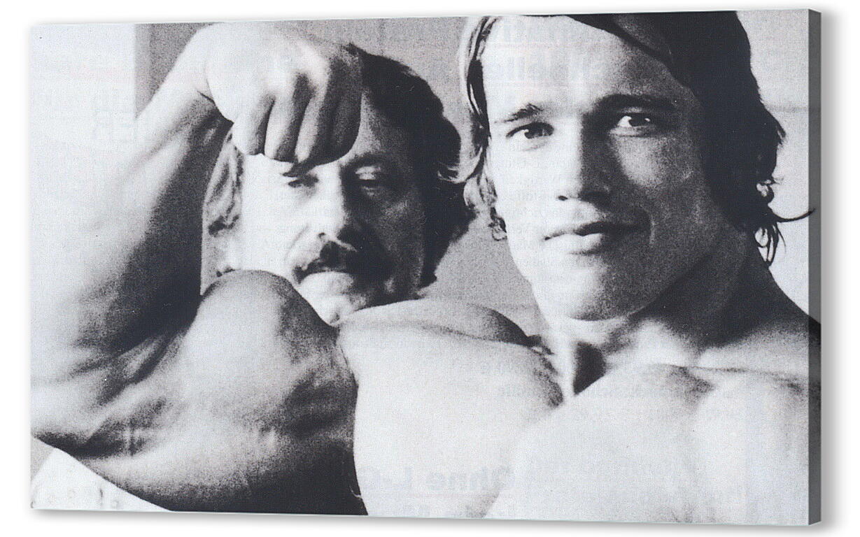Постер Арнольд Шварценеггер (Arnold Schwarzenegger) артикул 20020