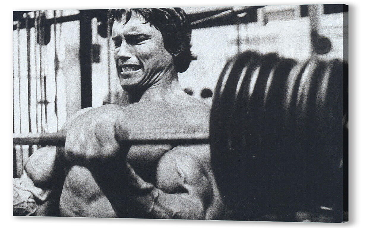 Постер Арнольд Шварценеггер (Arnold Schwarzenegger) артикул 20022