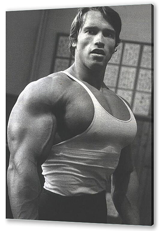 Постер (плакат) Арнольд Шварценеггер (Arnold Schwarzenegger) артикул 20023