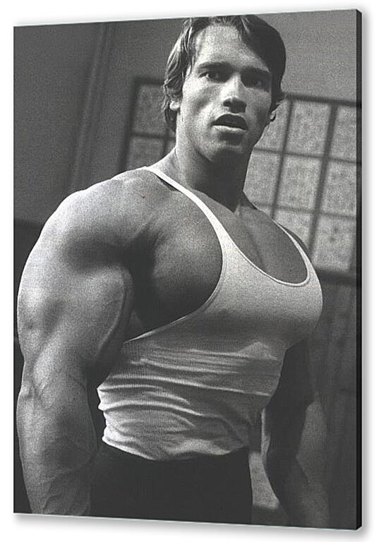 Постер Арнольд Шварценеггер (Arnold Schwarzenegger) артикул 20023
