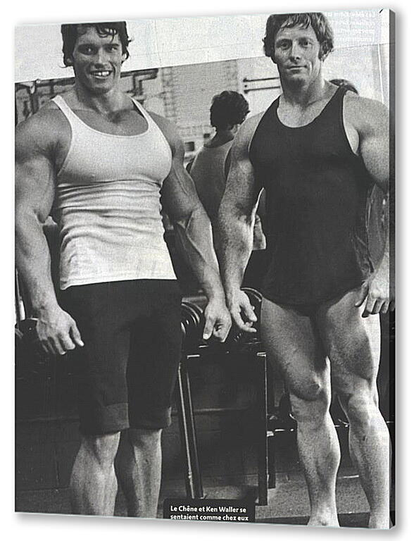 Постер Арнольд Шварценеггер (Arnold Schwarzenegger) артикул 20026