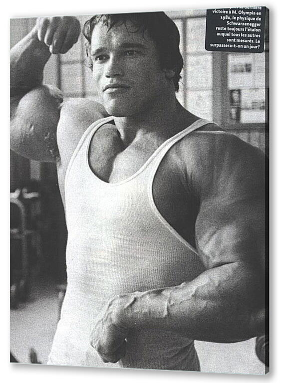 Постер Арнольд Шварценеггер (Arnold Schwarzenegger) артикул 20027