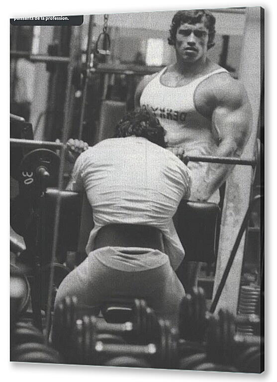 Постер (плакат) Арнольд Шварценеггер (Arnold Schwarzenegger) артикул 20029