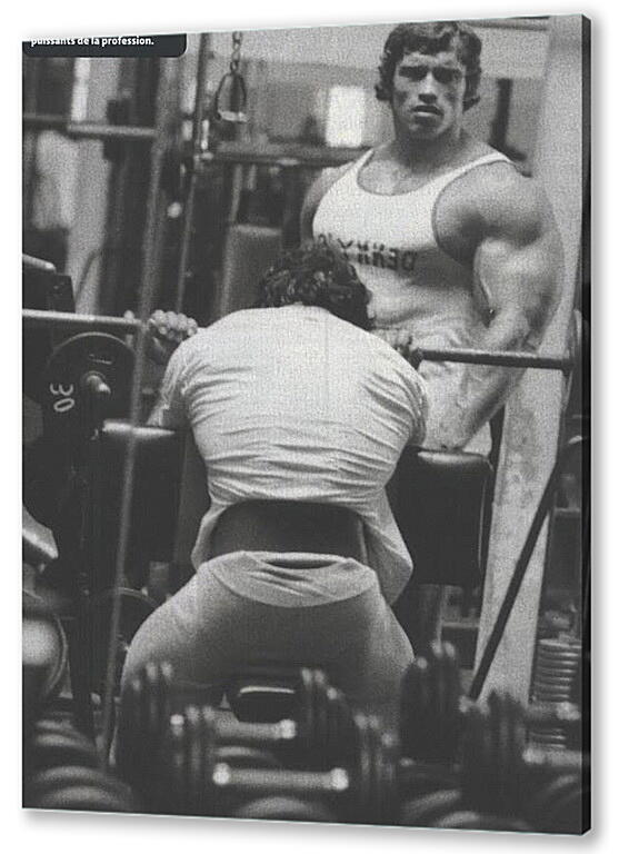 Постер Арнольд Шварценеггер (Arnold Schwarzenegger) артикул 20029
