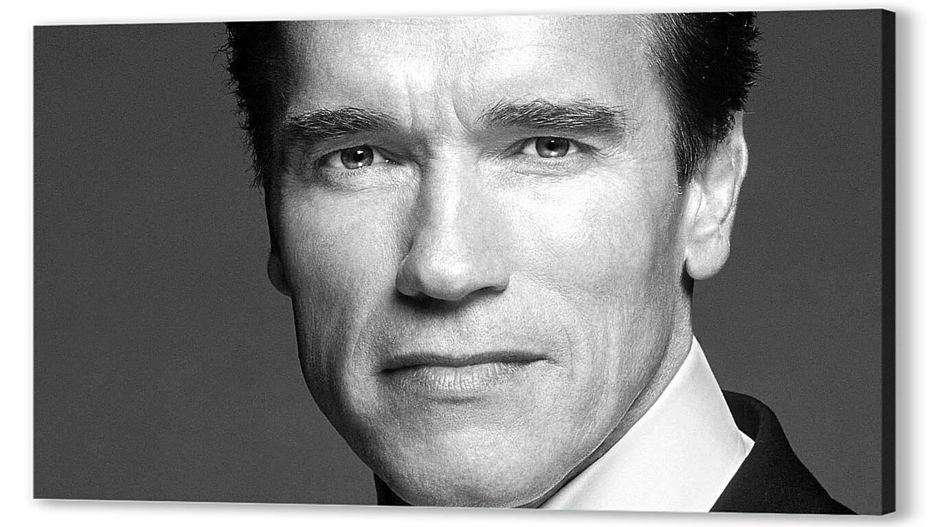 Постер Арнольд Шварценеггер (Arnold Schwarzenegger) артикул 20033