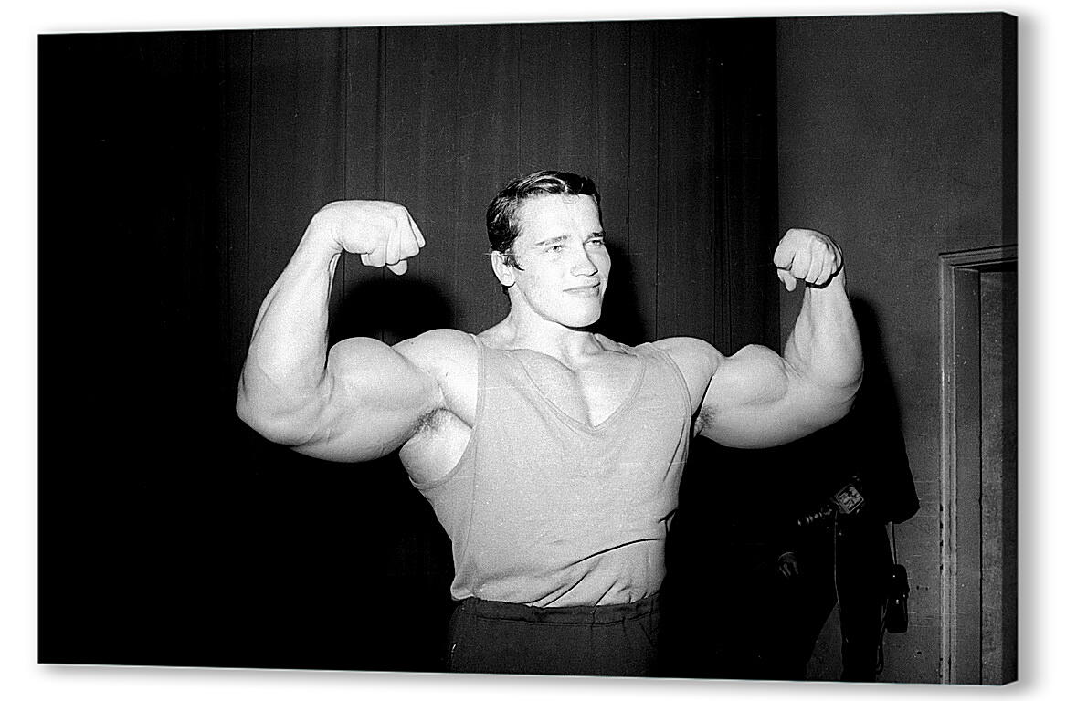 Постер Арнольд Шварценеггер (Arnold Schwarzenegger) артикул 20036