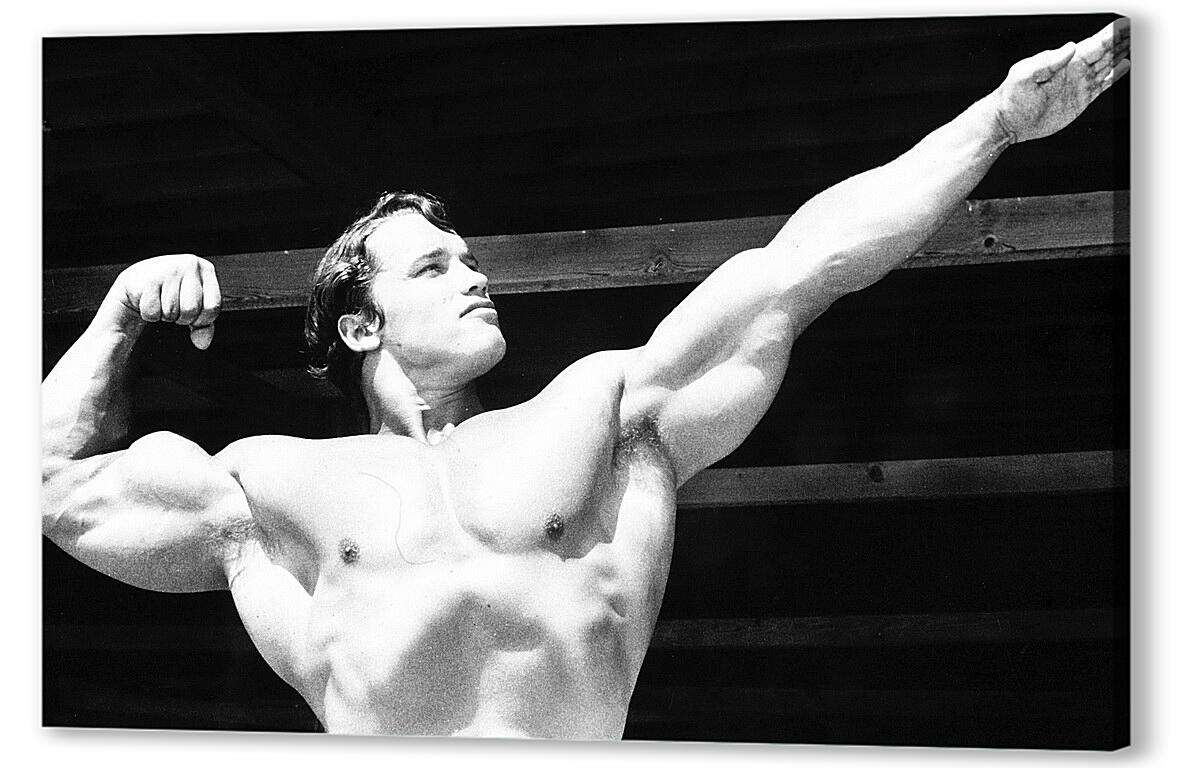 Постер Арнольд Шварценеггер (Arnold Schwarzenegger) артикул 20037