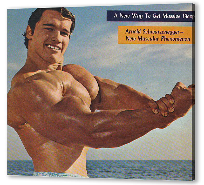 Постер (плакат) Арнольд Шварценеггер (Arnold Schwarzenegger) артикул 20042