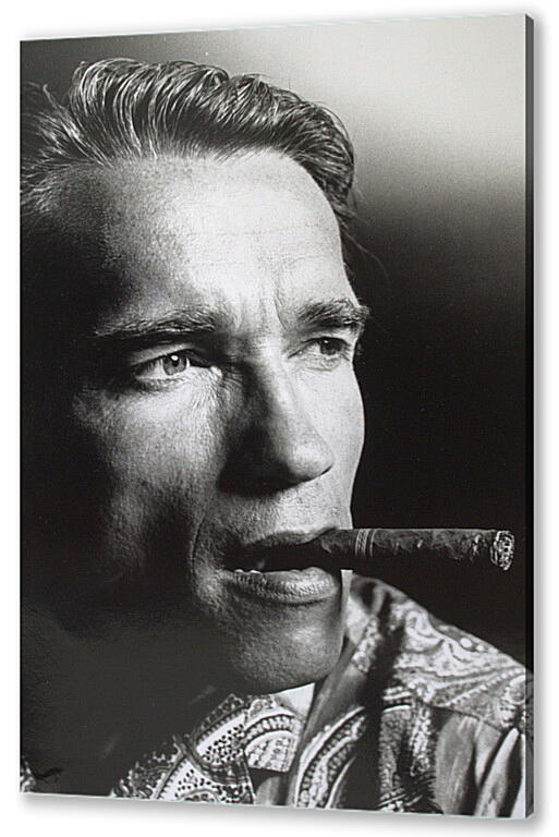 Постер (плакат) Арнольд Шварценеггер (Arnold Schwarzenegger) артикул 20046