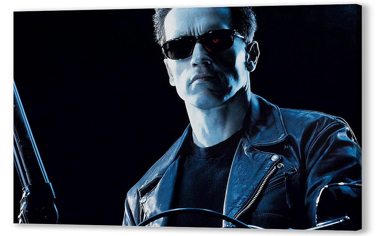 Постер (плакат) Арнольд Шварценеггер (Arnold Schwarzenegger) артикул 20048