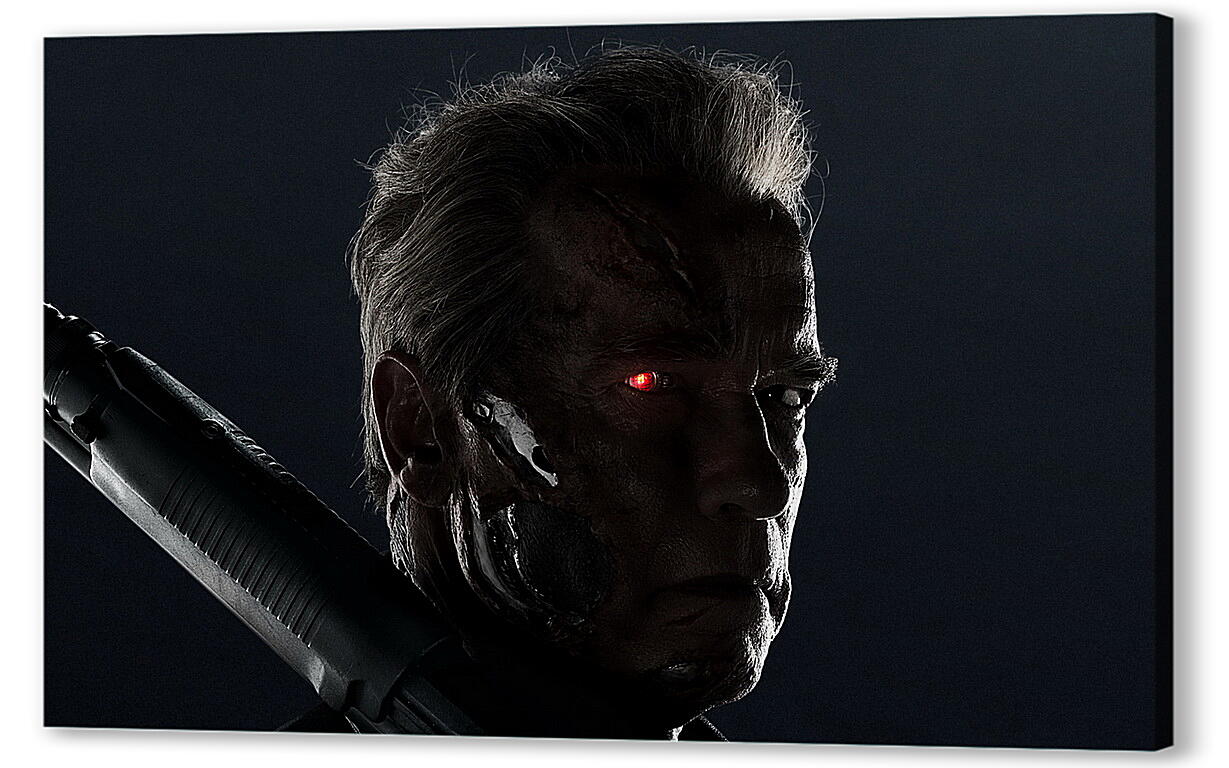 Постер Арнольд Шварценеггер (Arnold Schwarzenegger) артикул 20051