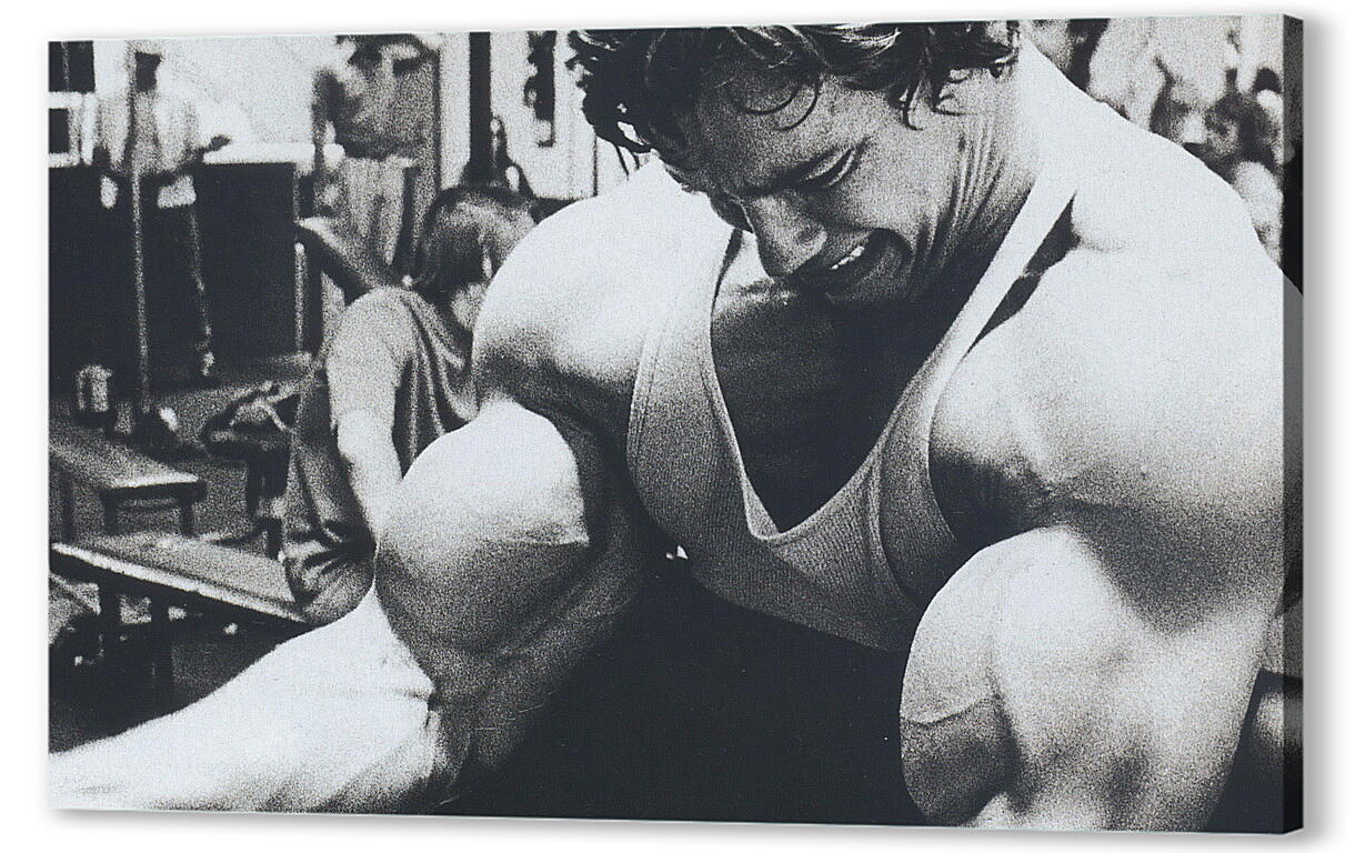 Постер (плакат) Арнольд Шварценеггер (Arnold Schwarzenegger) артикул 20052