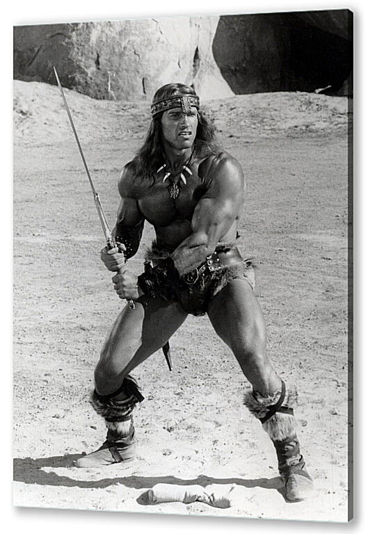 Постер Арнольд Шварценеггер (Arnold Schwarzenegger) артикул 20055