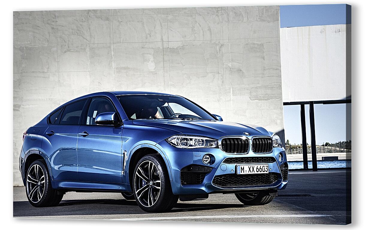 Постер (плакат) BMW X6 M артикул 7125