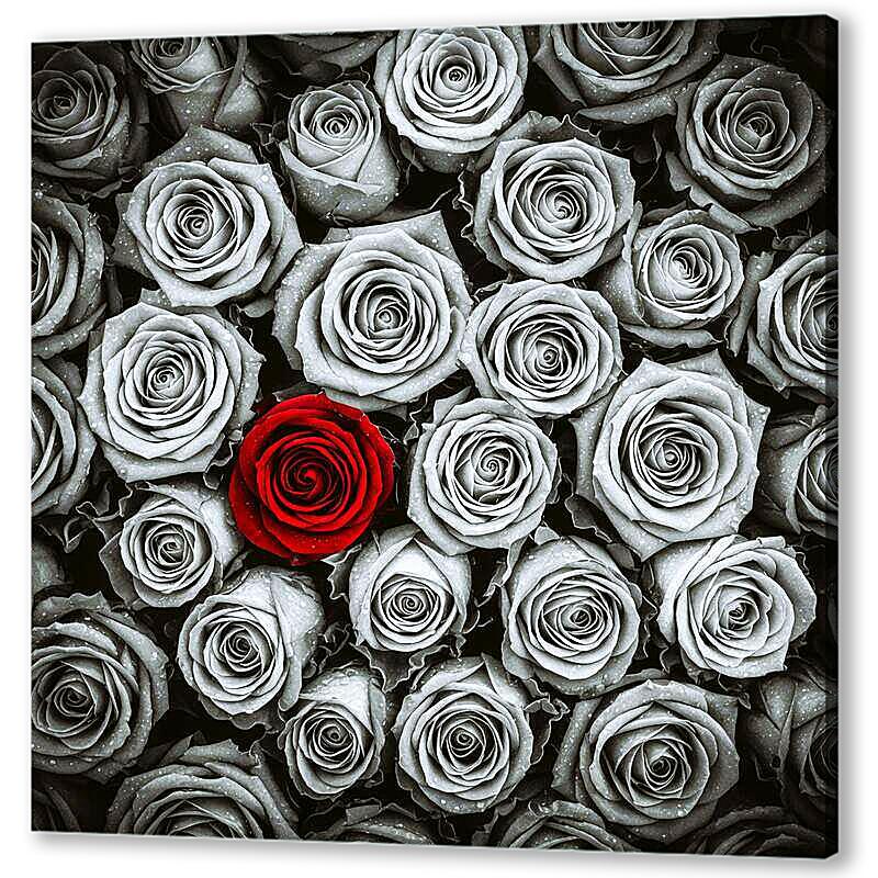 Постер Букет роз, чб постер артикул 21-22-H