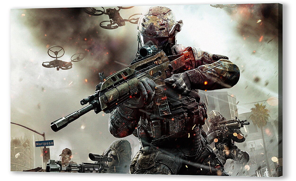 Постер (плакат) Call Of Duty: Black Ops II
 артикул 21242