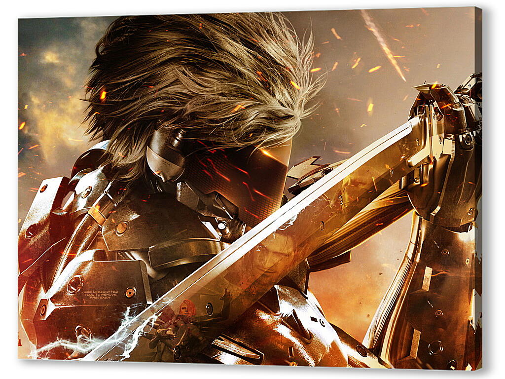 Постер (плакат) Metal Gear Rising: Revengeance артикул 21332