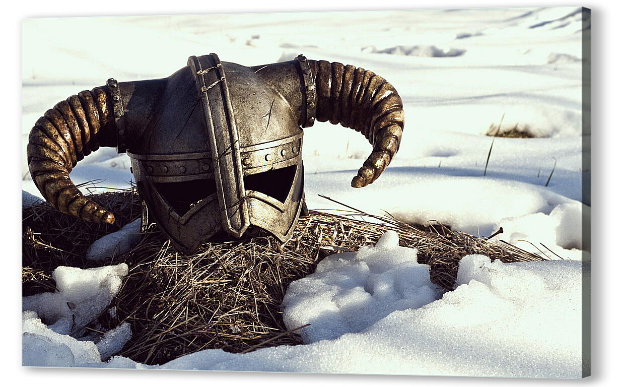 Постер The Elder Scrolls V: Skyrim
 артикул 21361