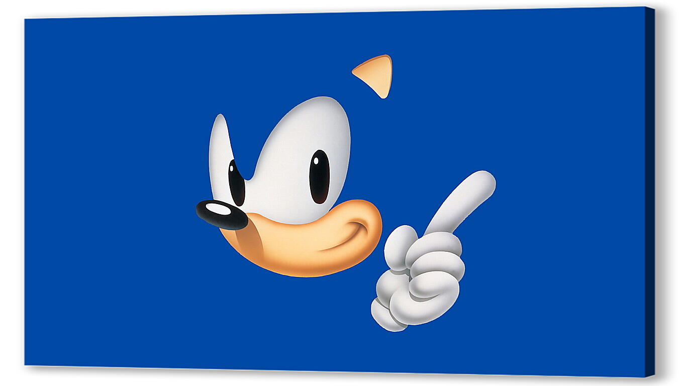 Постер (плакат) Sonic The Hedgehog артикул 21364