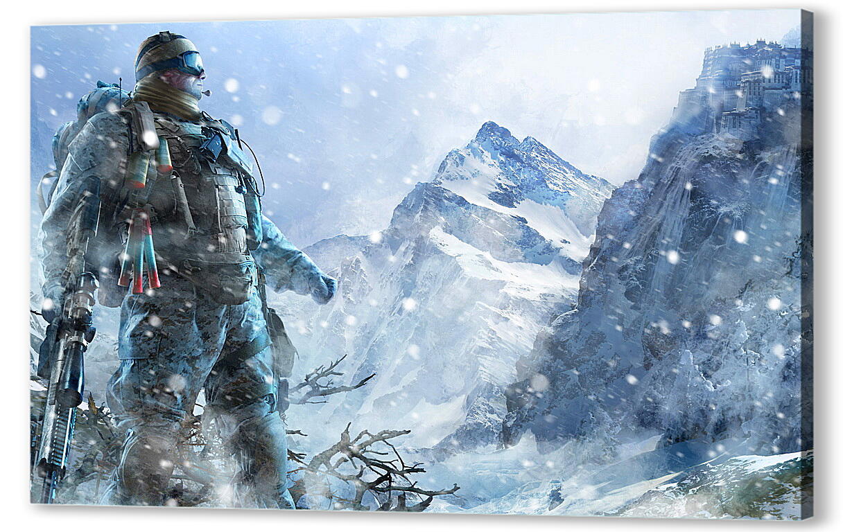 Постер (плакат) Sniper: Ghost Warrior 2 артикул 21417