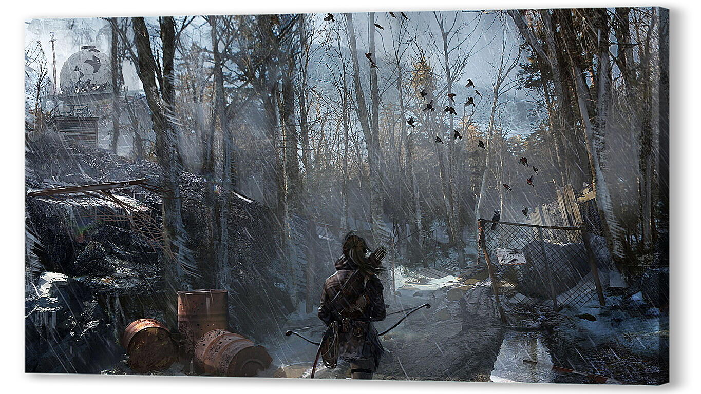 Постер Rise Of The Tomb Raider
 артикул 21546